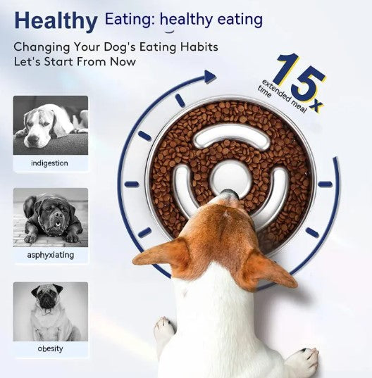 SlowBowl — Anti-Gulp Dog Bowl That Stops Fast Eating & Bloat Risk